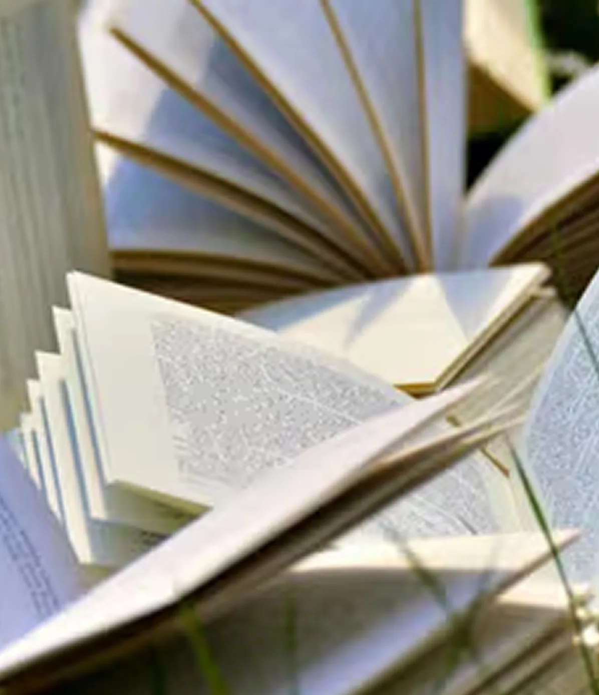 Merit-Based Scholarship